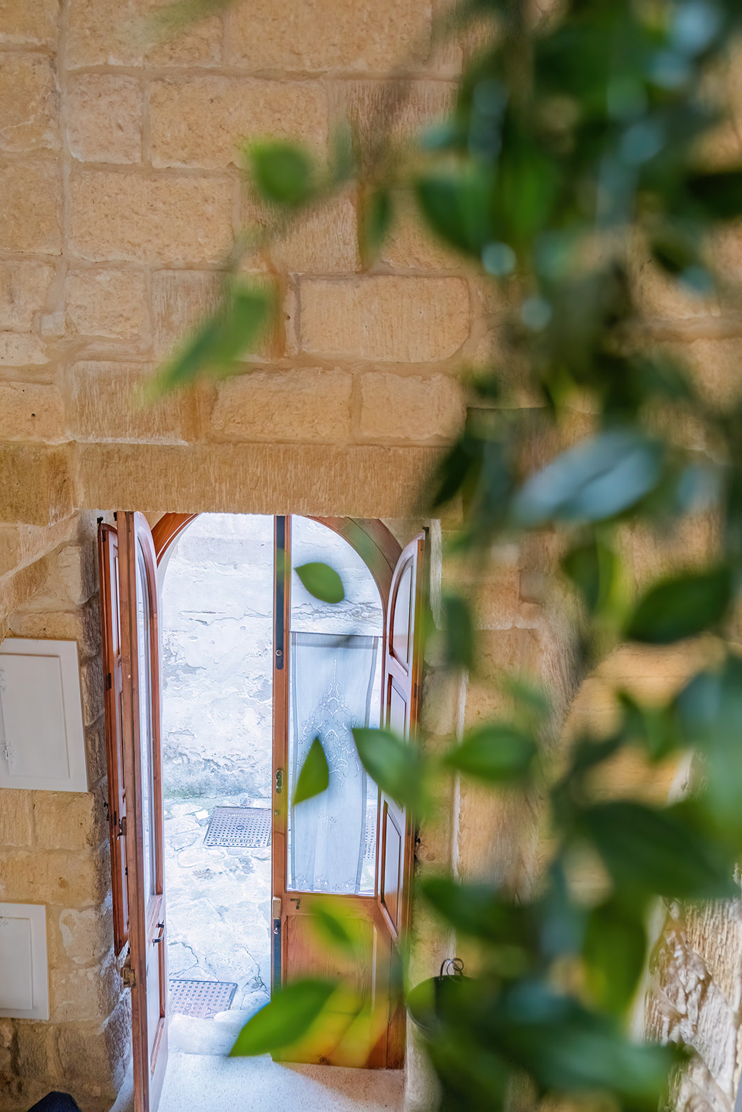 Scorcio della porta antica vista tra le foglie di una pianta